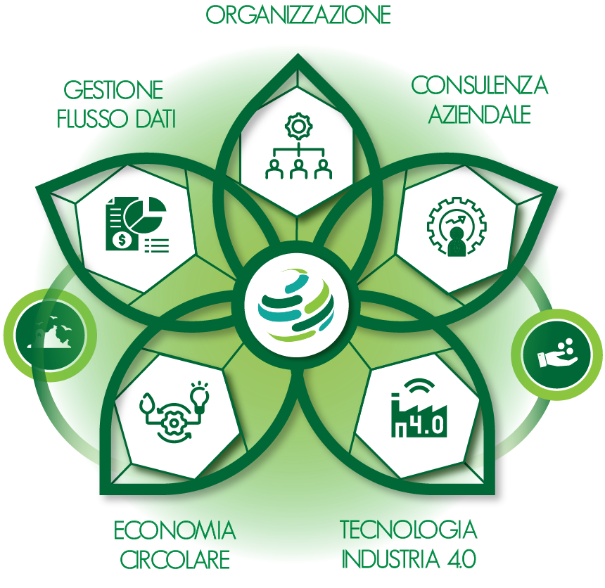 grafico-fiore